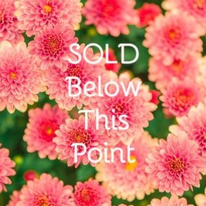 SOLD BELOW THIS POINT